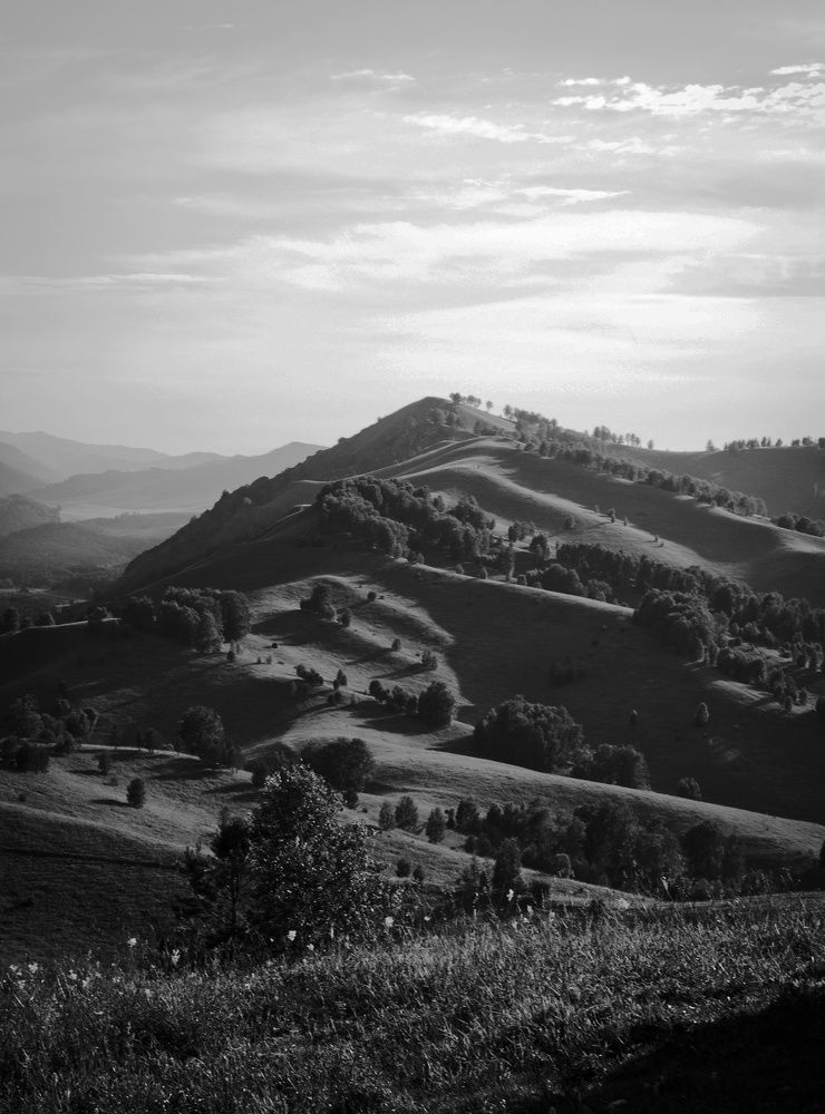 Photograph by Ирина Протченко