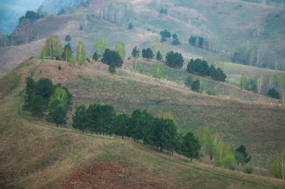 Photograph by Татьяна Ярмак