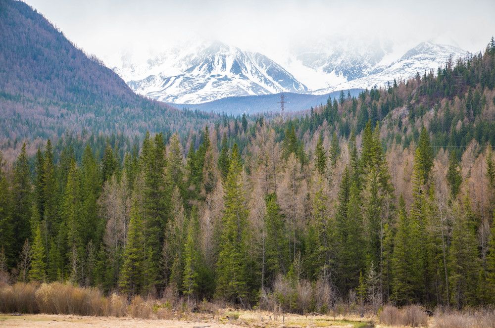 Photograph by Татьяна Ярмак