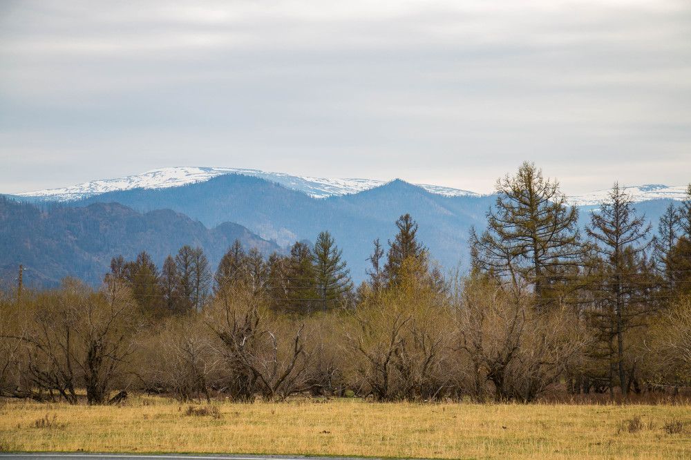 Photograph by Татьяна Ярмак