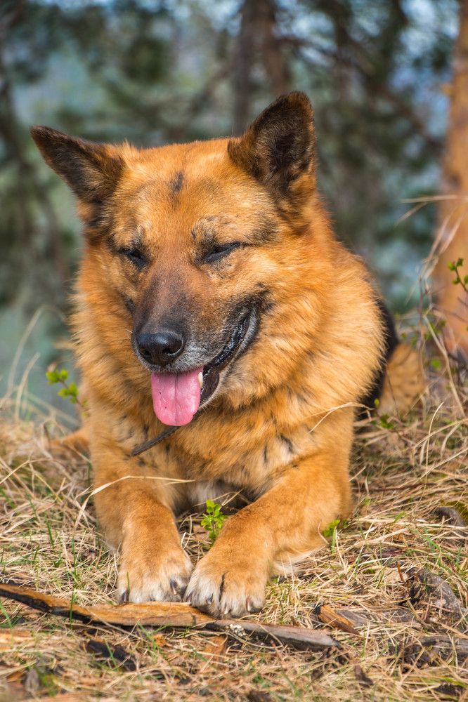 Photograph by Татьяна Ярмак