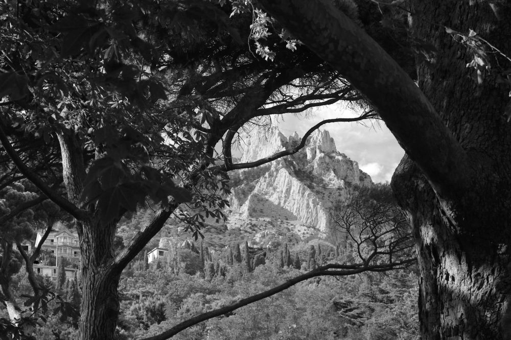 Photograph by Anastasia Kodatenko