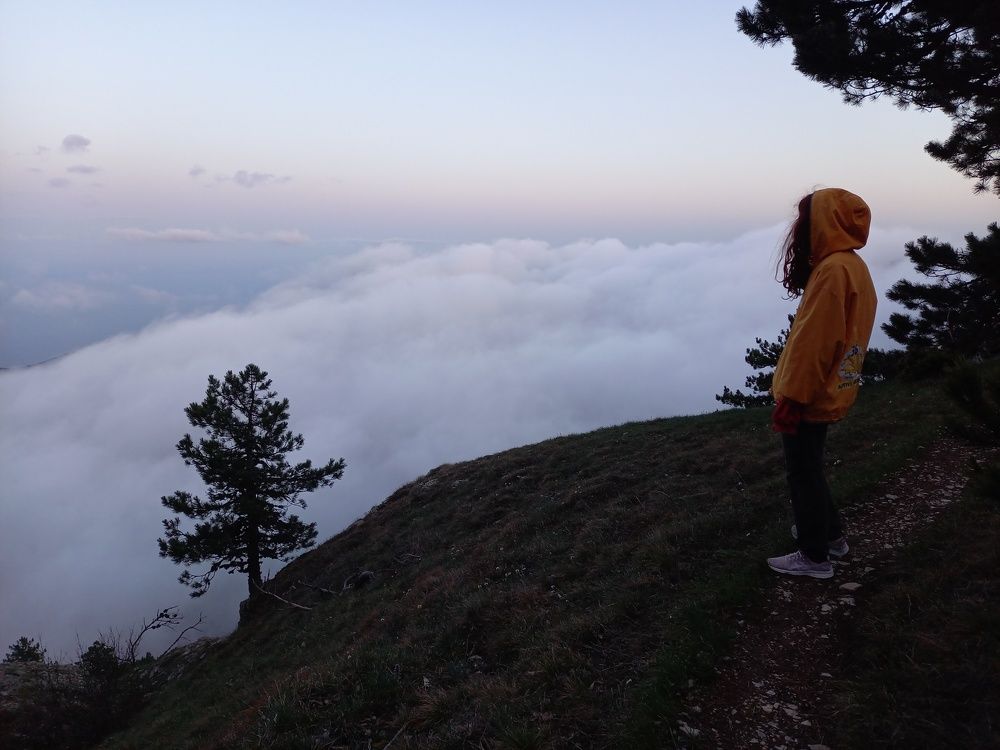 Photograph by Виктор Чернышов