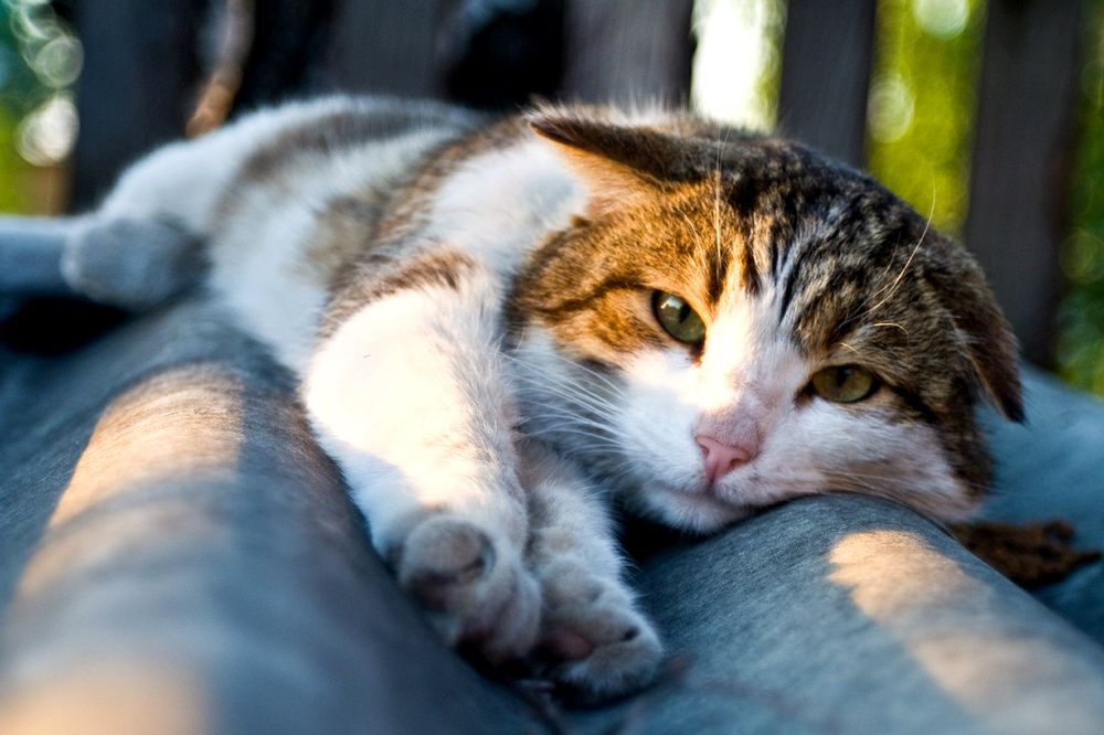 Photograph by Виталий Слёзка