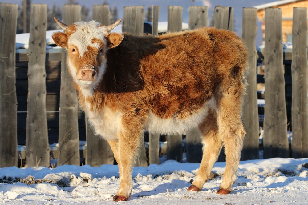 Фотография автора Татьяна Свистулина