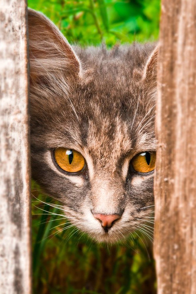 Photograph by Виталий Слёзка