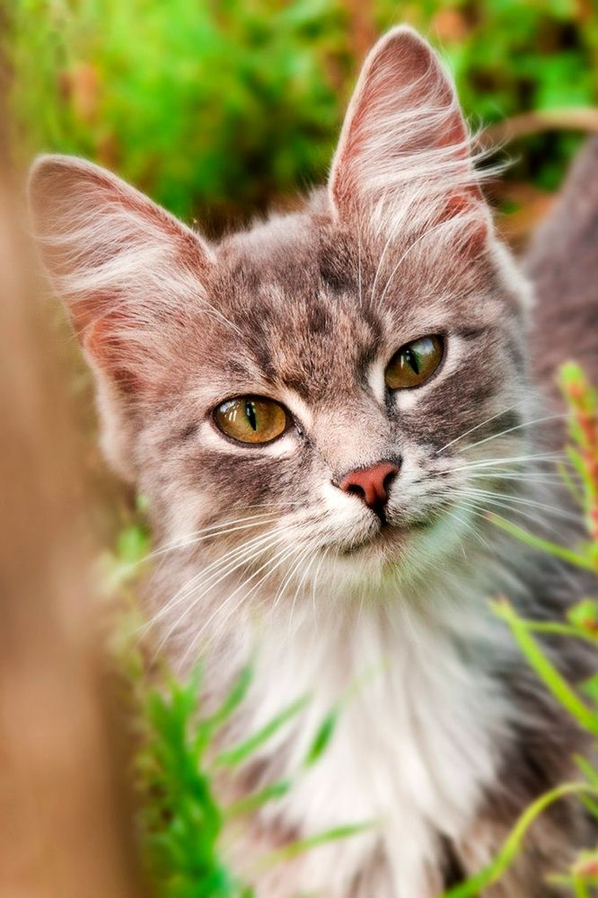 Photograph by Виталий Слёзка