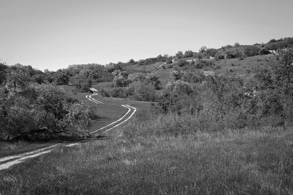 Photograph by Ирина Ри