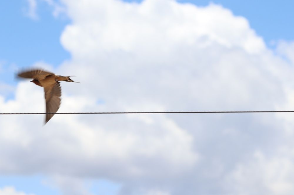 Photograph by Andrea Alcalá