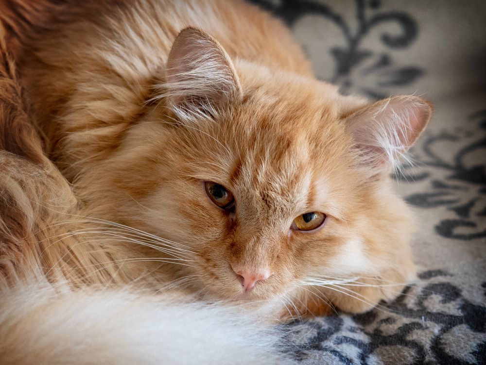 Photograph by Светлана Ващенко