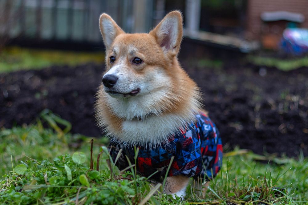 Photograph by Ol Ger