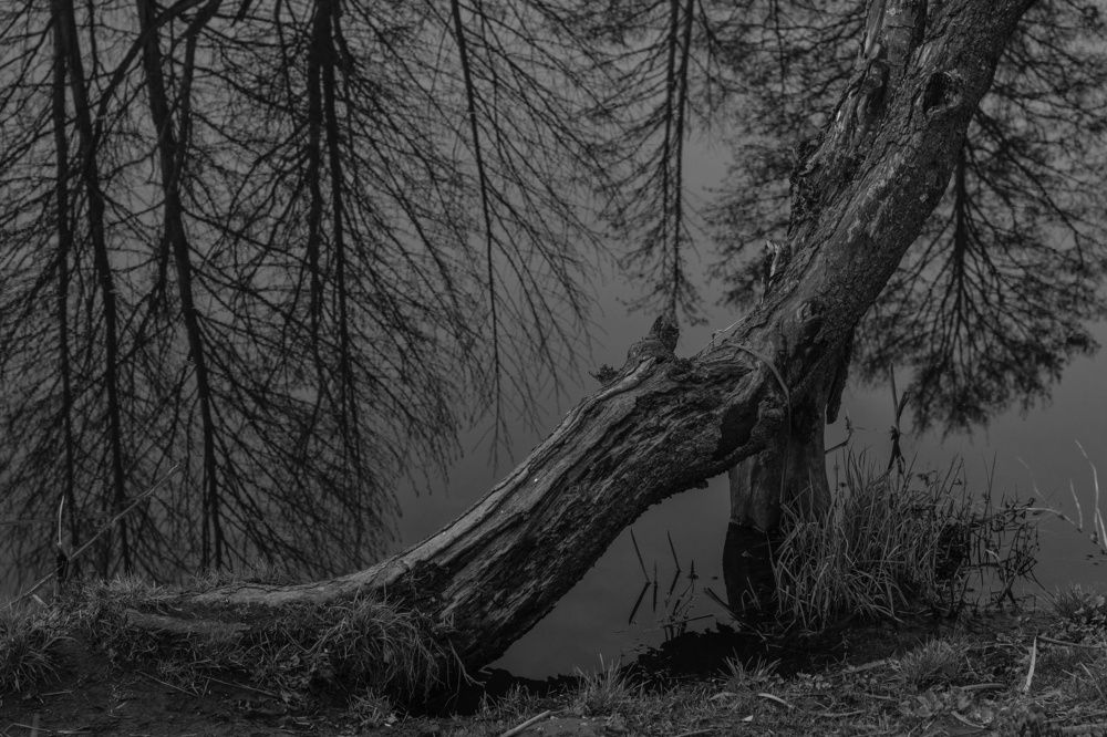 Фотография автора Ольга Никанович