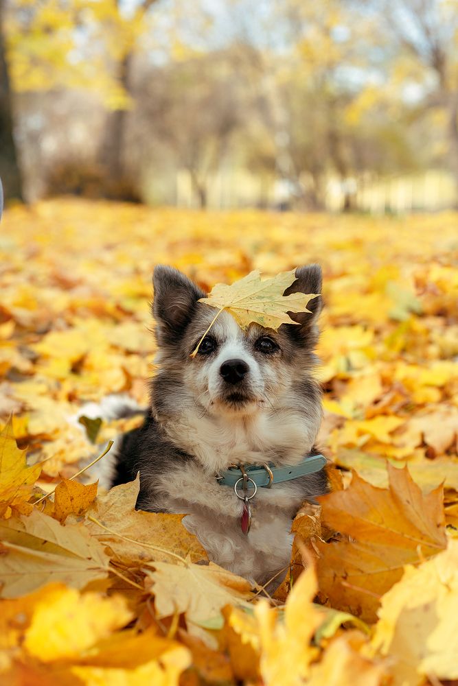 Photograph by Илья Кузнецов