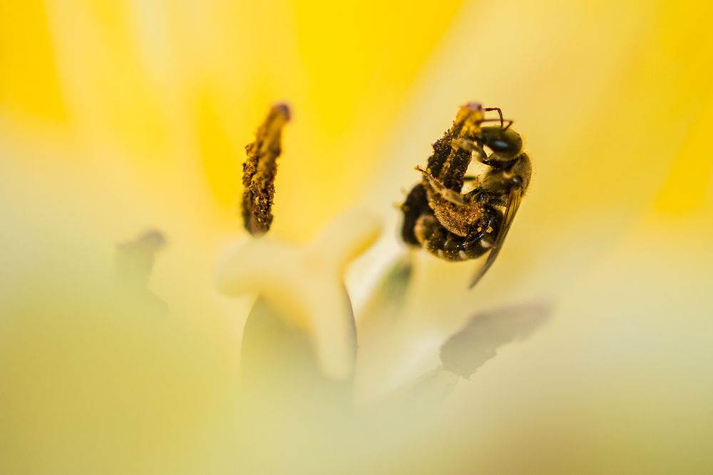 Фотография автора Юрий