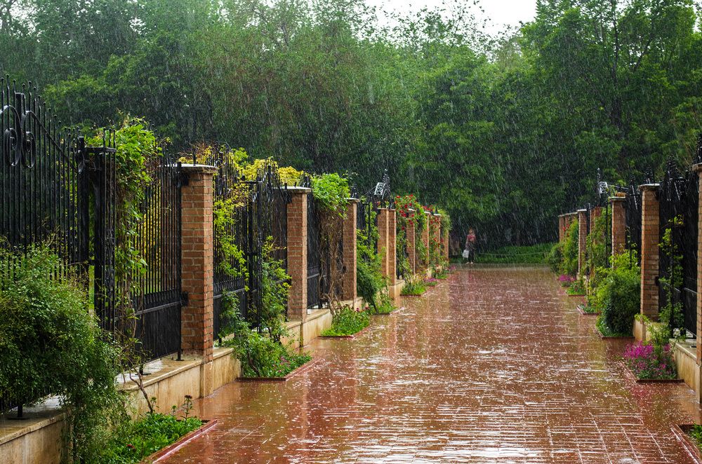 Photograph by Sahar Jafari