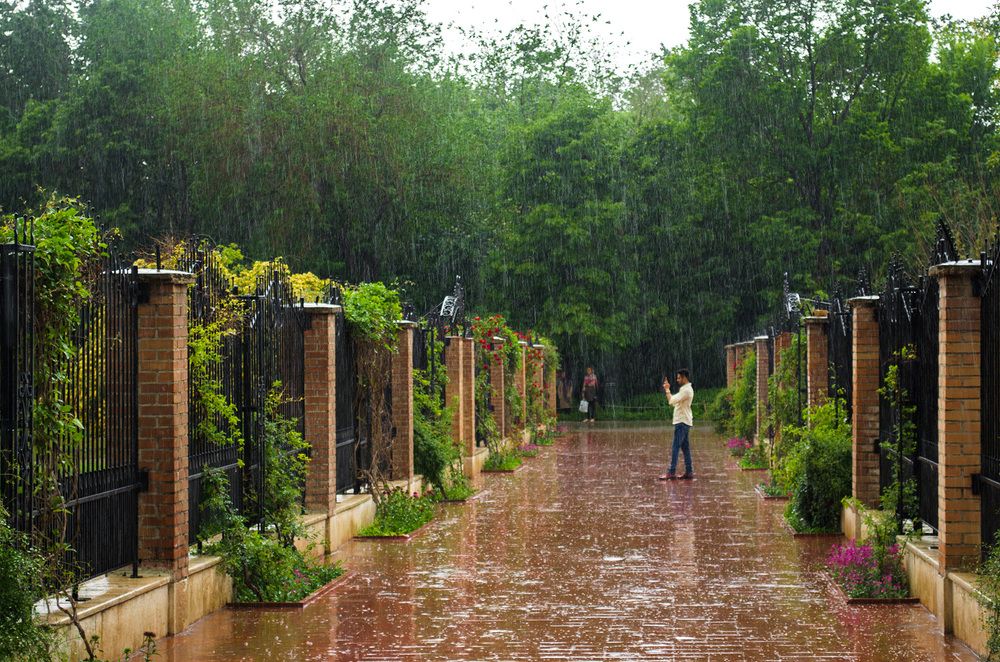 Photograph by Sahar Jafari