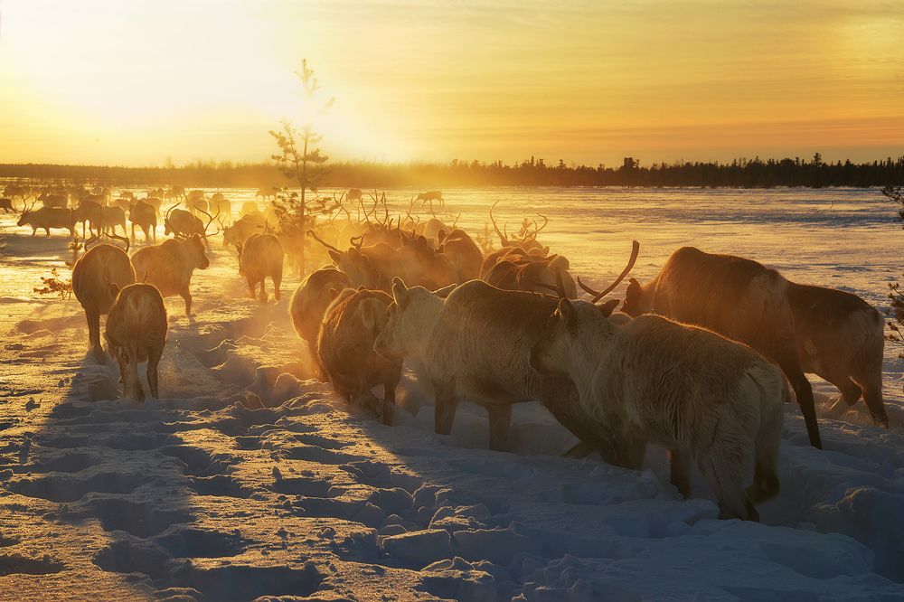 В лучах закатного солнца