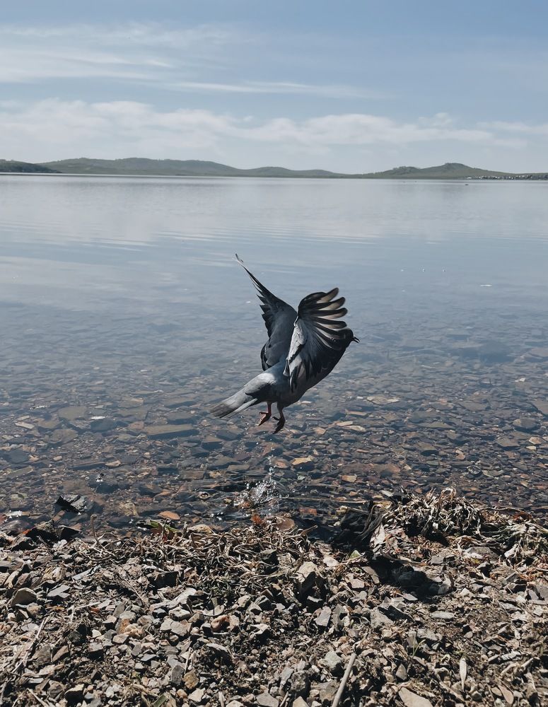 Photograph by Ксения Глубокова