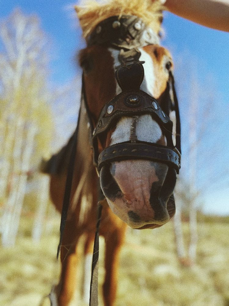 Photograph by Ксения Глубокова