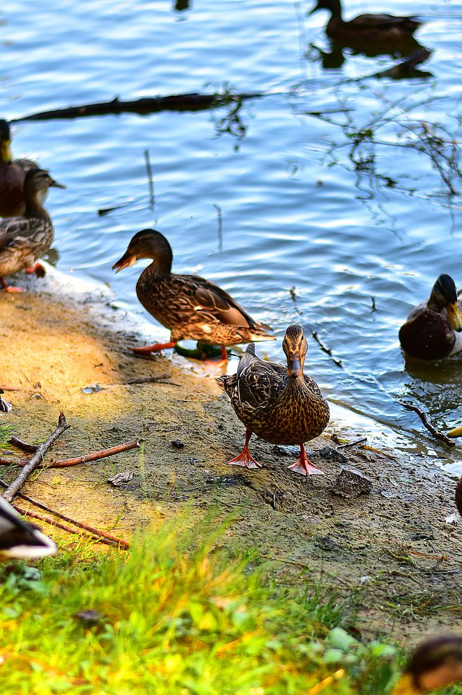 Photograph by Cергей Землянский