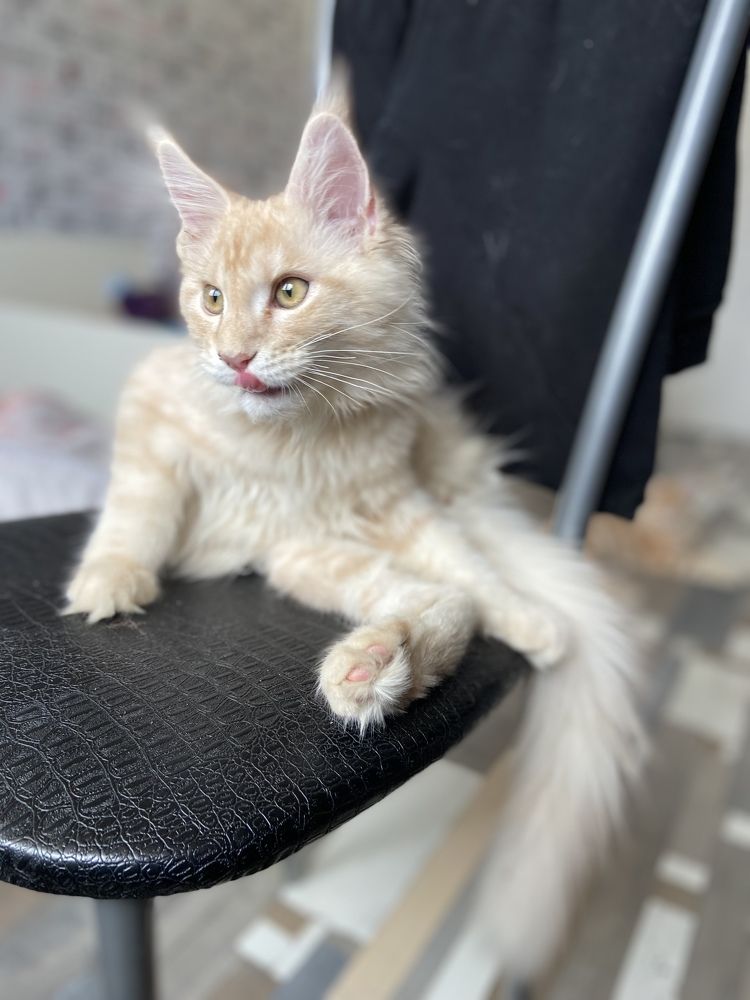 Photograph by Юлия Зеленева