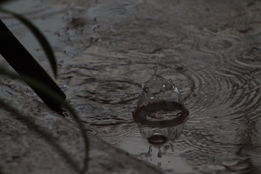 Photograph by Andrea Alcalá