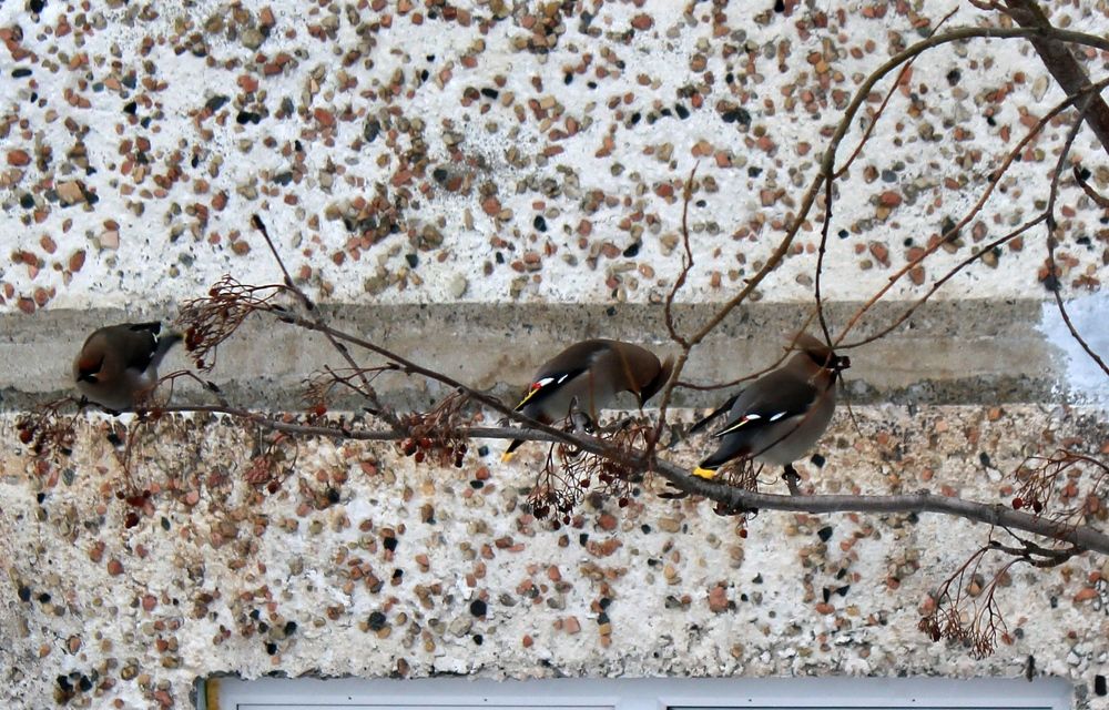 Photograph by Olga Bagaeva