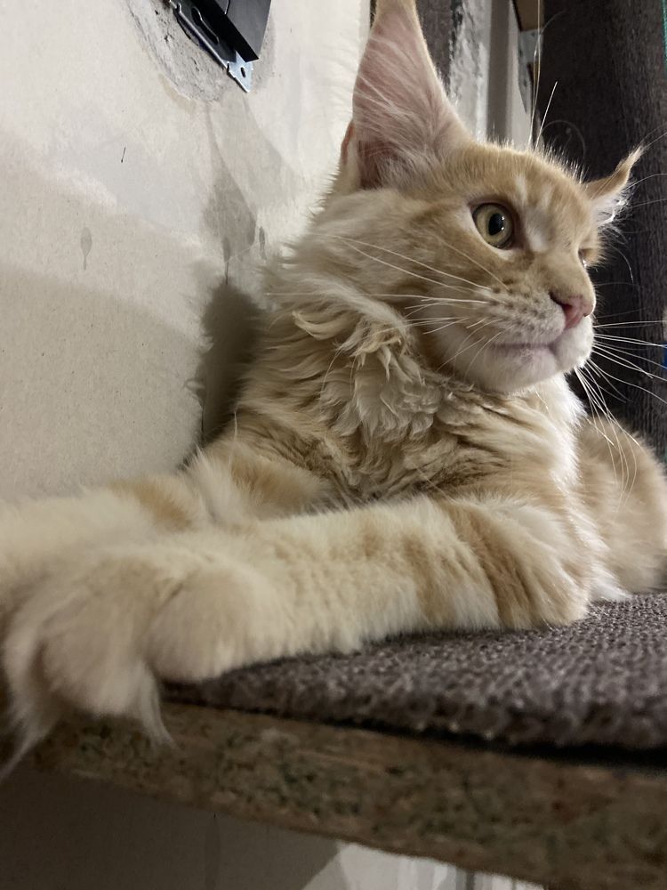 Photograph by Юлия Зеленева