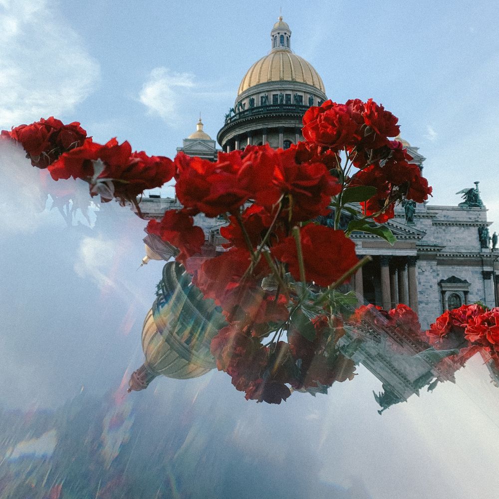 Фотография автора Александра Алиева