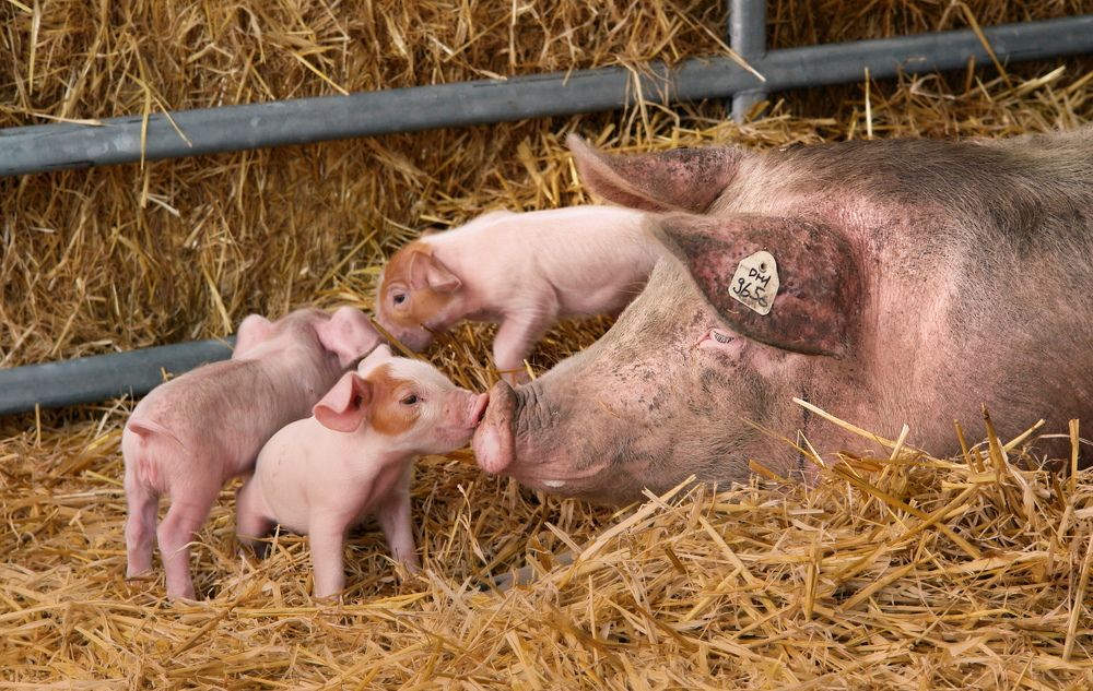 Photograph by Elena Wymann