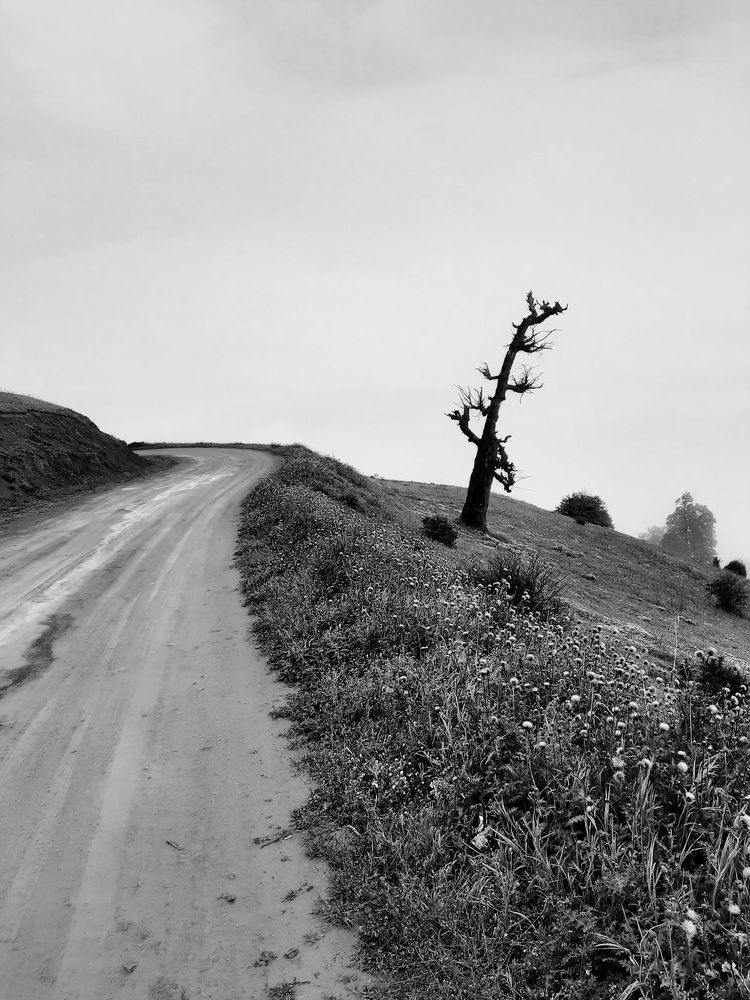 Photograph by Soheil Shams