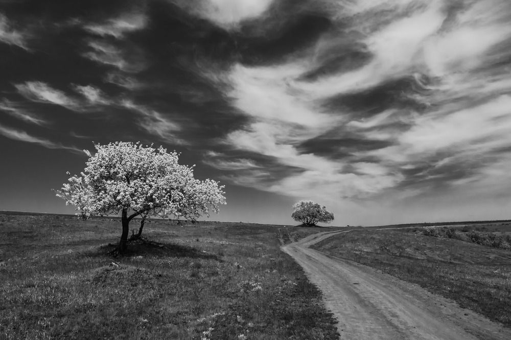 Photograph by Константин Шишкалов