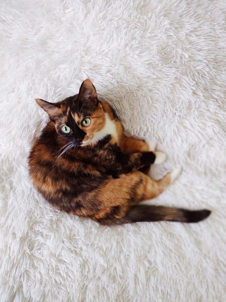 Photograph by Anastasia Kodatenko