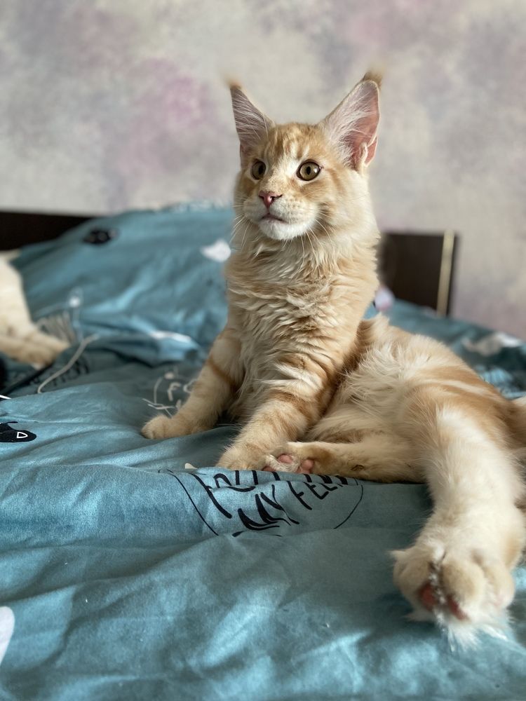 Photograph by Юлия Зеленева