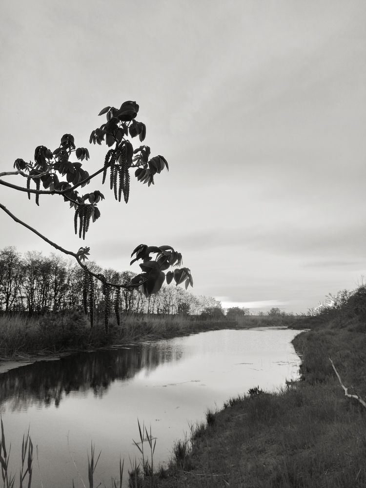 Фотография автора Татьяна Долгушева