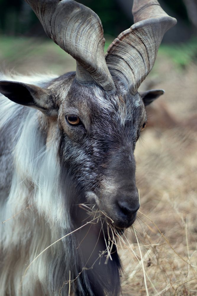 Photograph by Сергей Витвицкий
