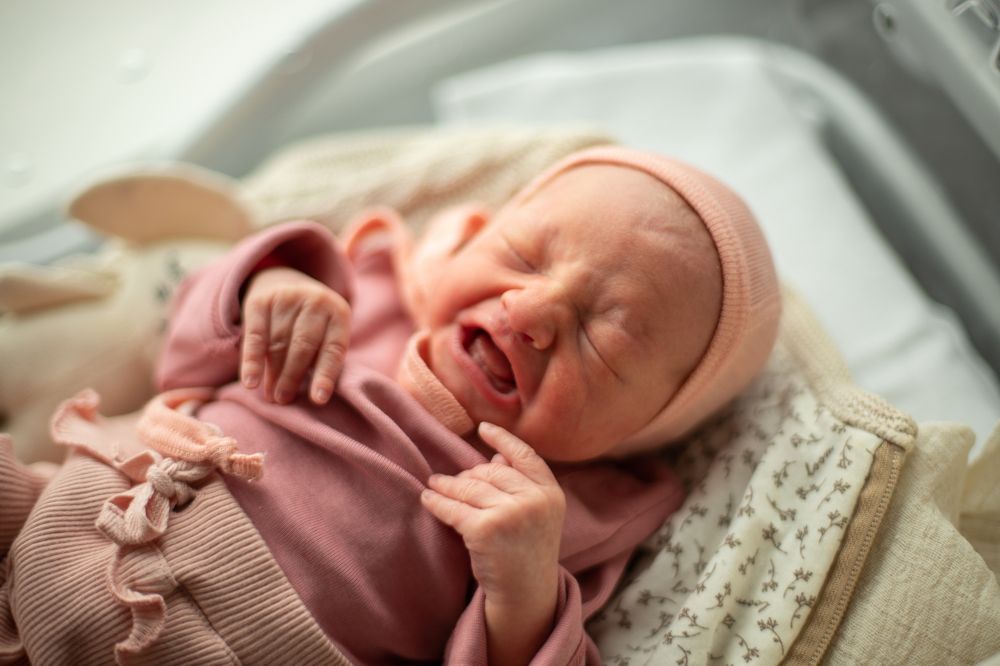 Photograph by Анастасия Аренд-Белоцерковская