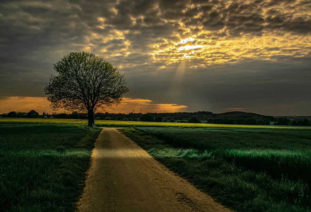 Photograph by Vitalii Kaznin