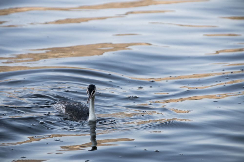 Photograph by Muhammed Diler