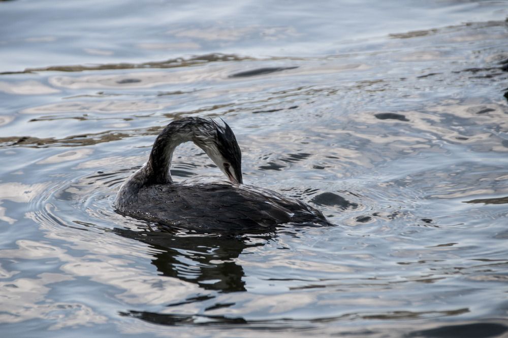 Photograph by Muhammed Diler