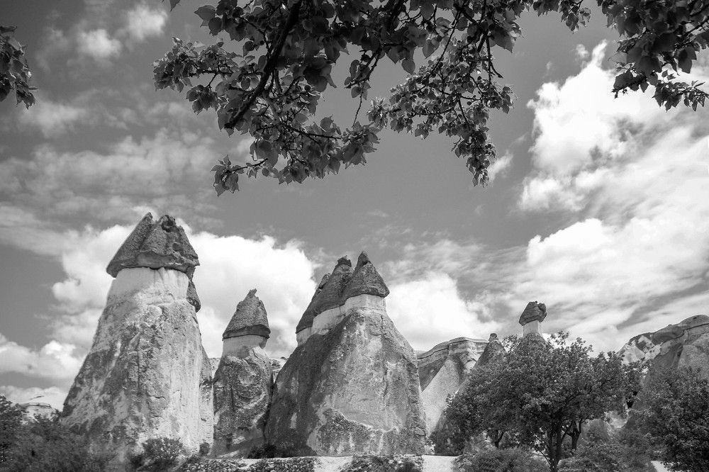 Photograph by Muhammed Diler