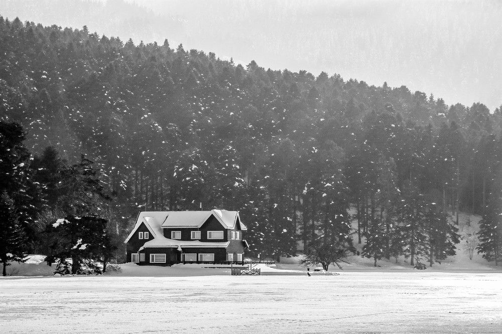 Photograph by Muhammed Diler