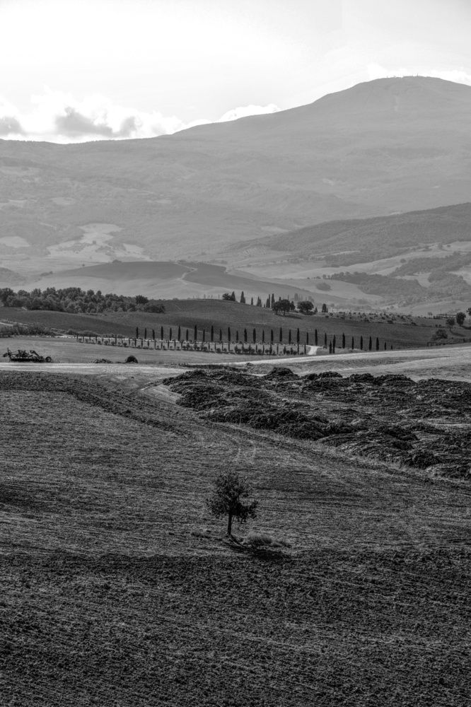 Photograph by SIMONE CIULLI