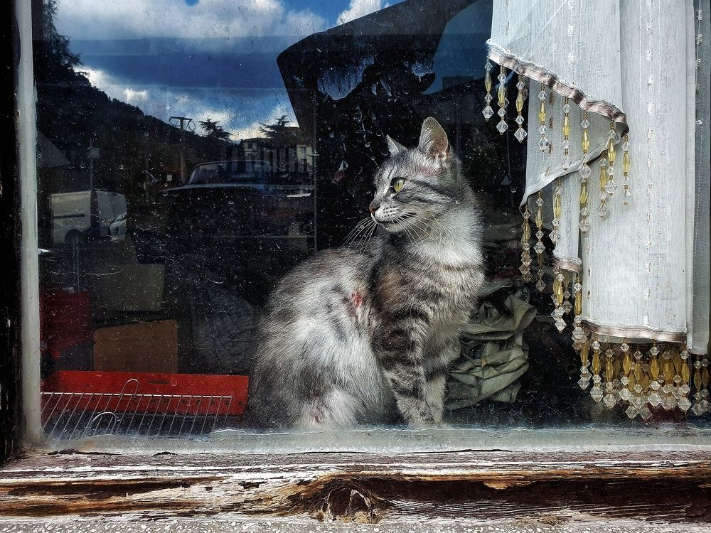 Photograph by Muhammed Diler