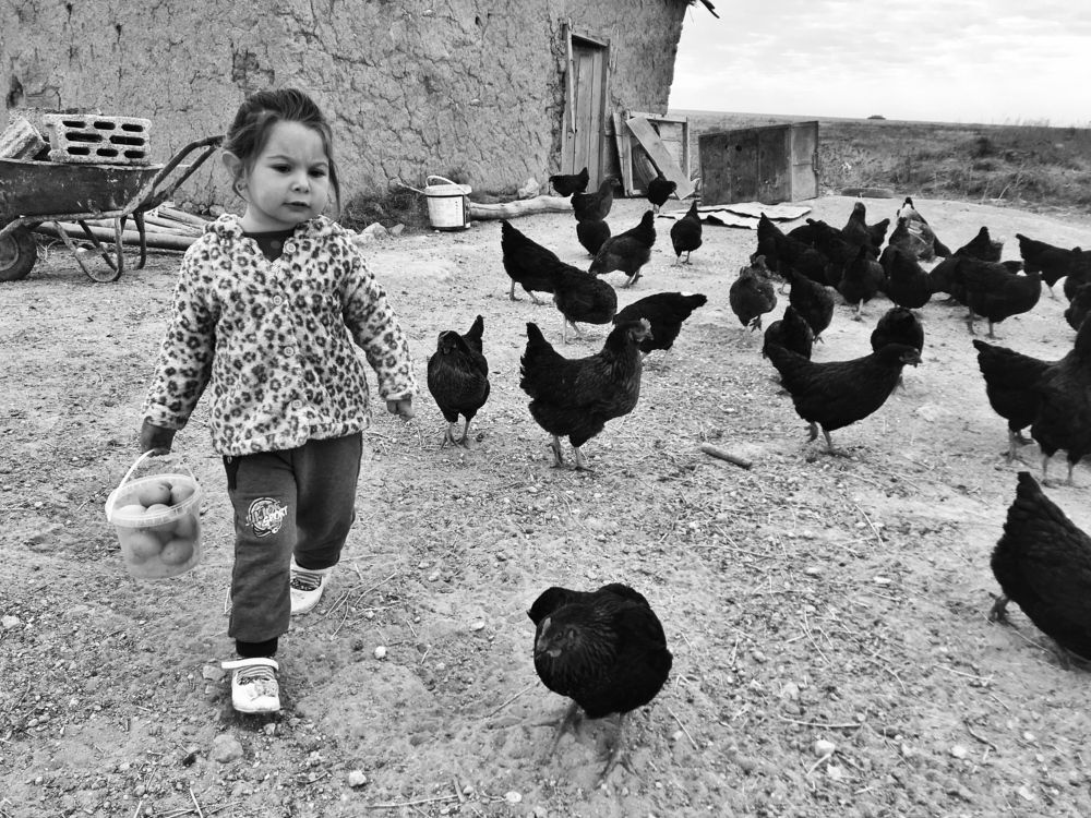 Photograph by Muhammed Diler