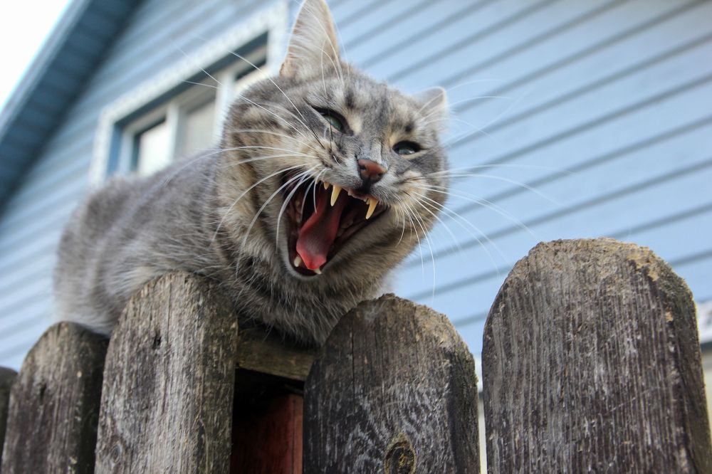 Photograph by Сергей Иванов