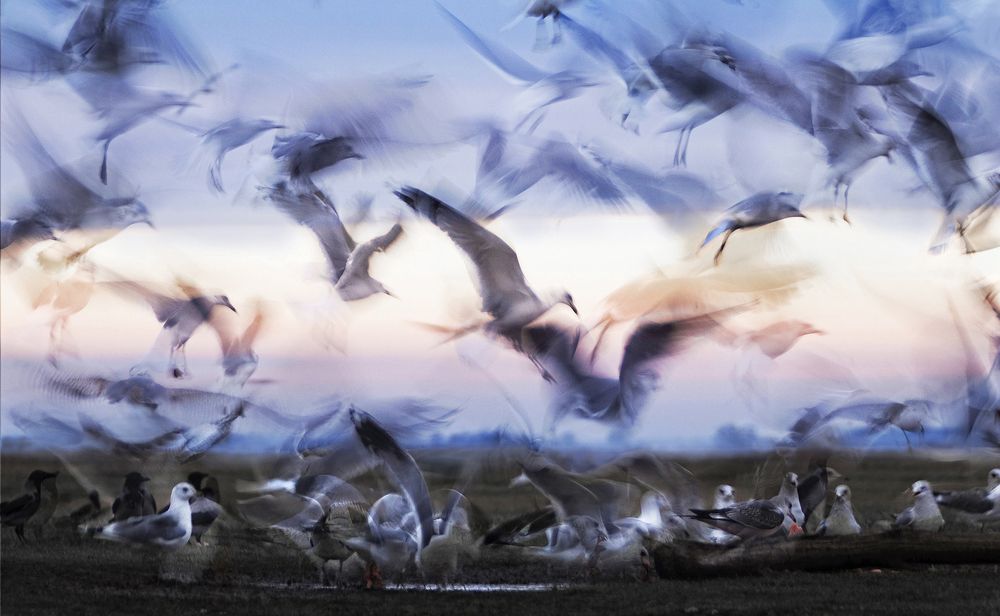 Photograph by Zizi Körmendy