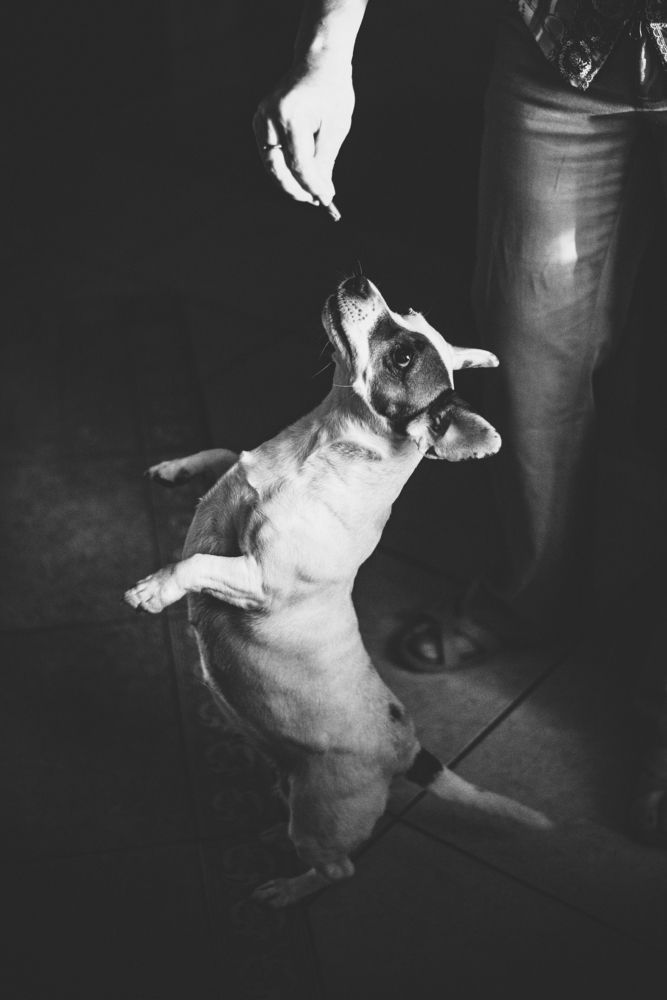 Photograph by Наталья Склепович