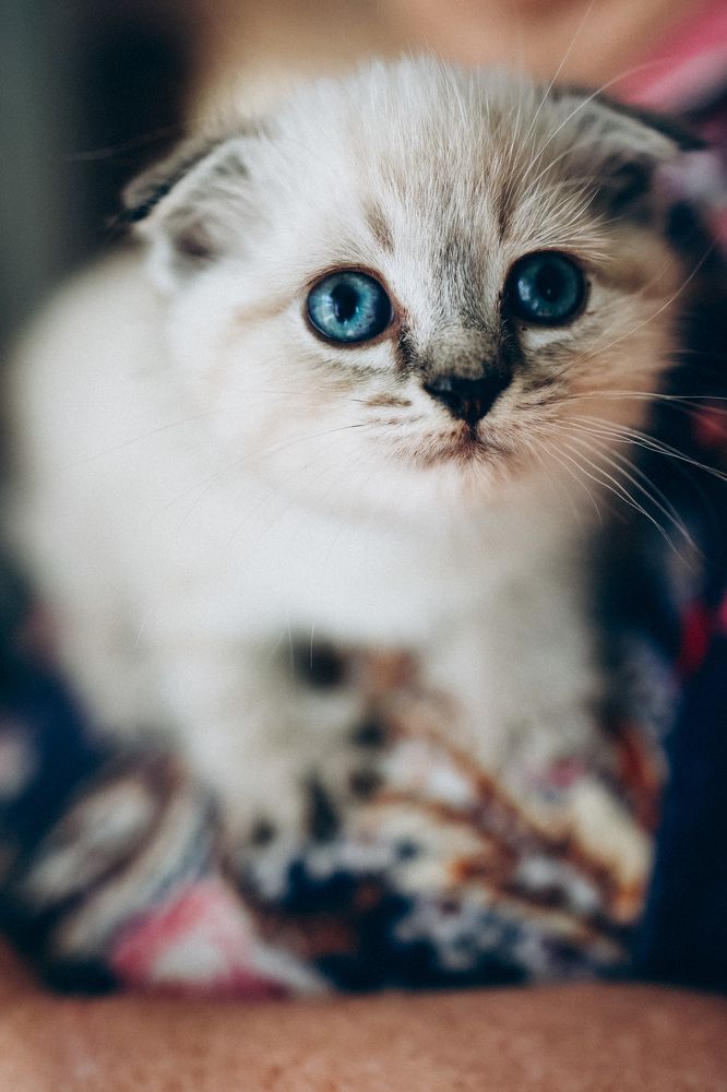 Photograph by Ольга