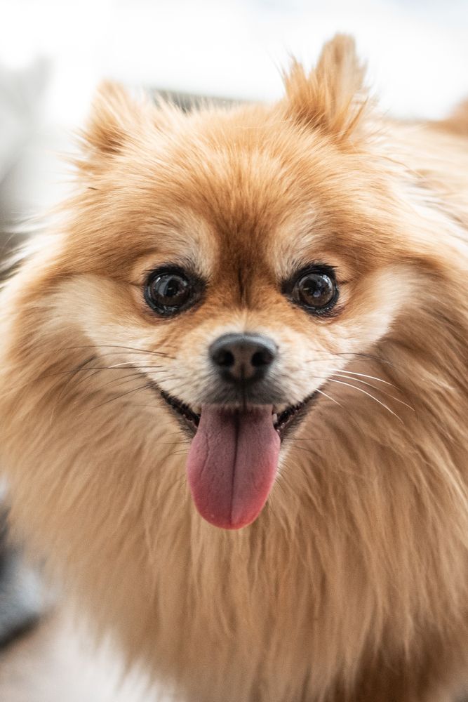 Photograph by Наталья Склепович